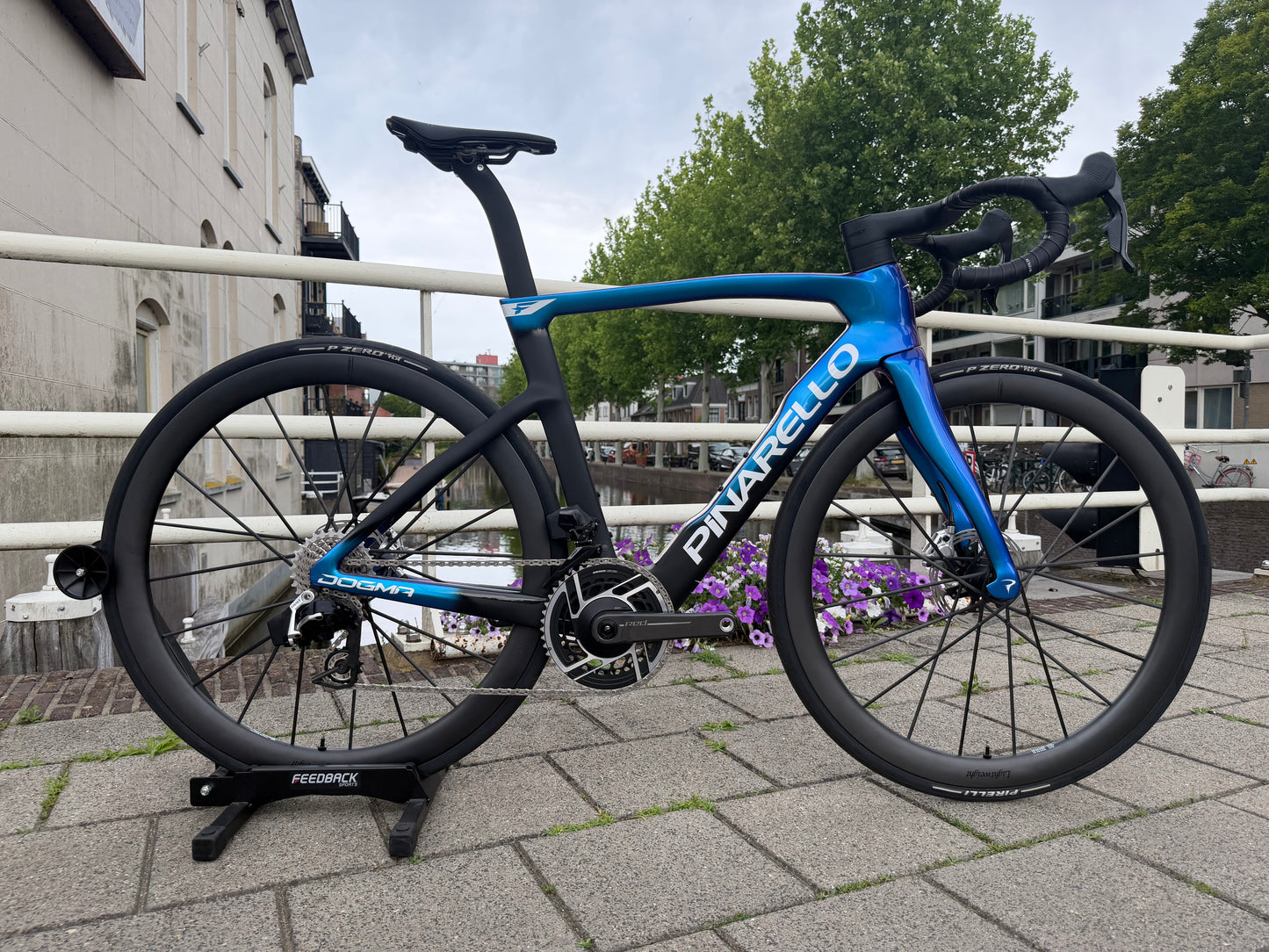 Custom Pinarello Dogma F