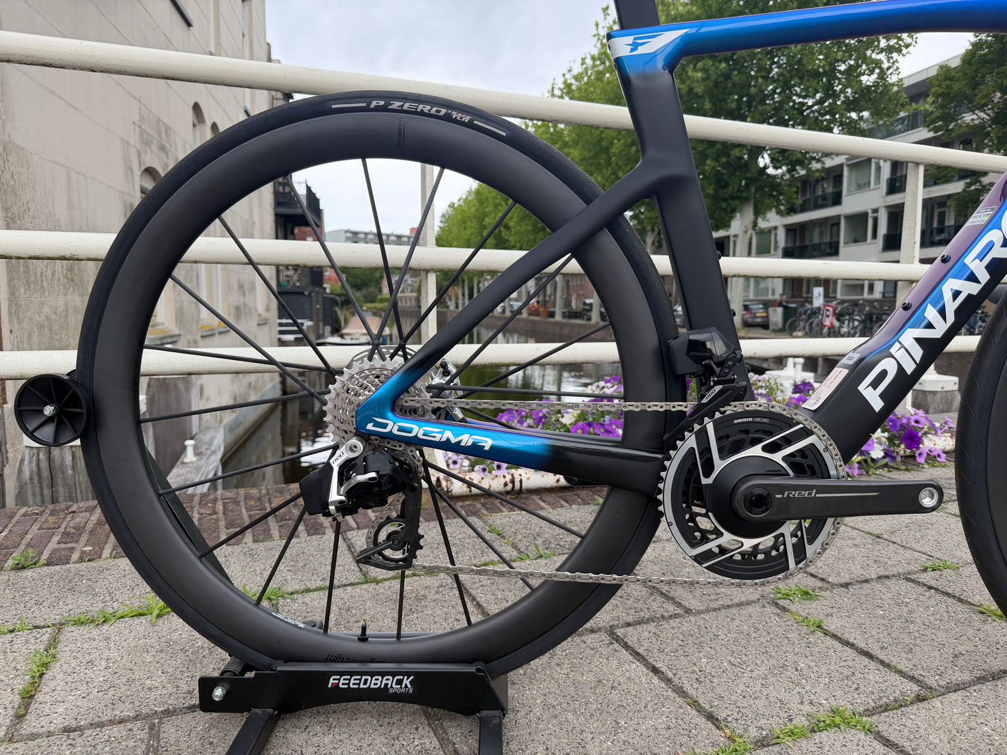 Custom Pinarello Dogma F