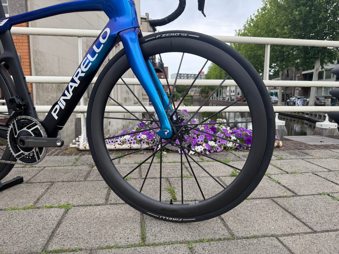 Custom Pinarello Dogma F